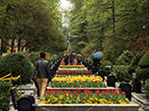best time to travel to Iran