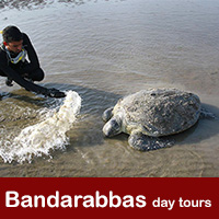 Bandar abbas day tours