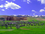 Iran_green_travel