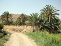 thumb travel to Iran in December