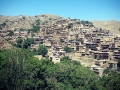thumb travel to Iran in July