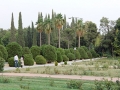 thumb travel to Iran in May